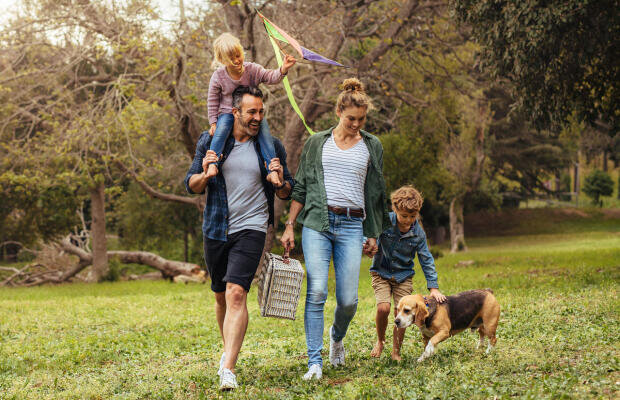 Ubezpieczenia